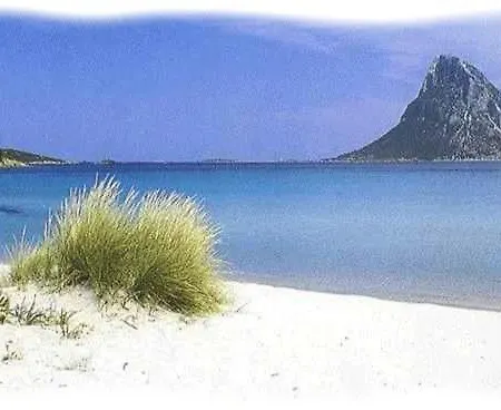 Da Giusy 住宿加早餐酒店 Narcao