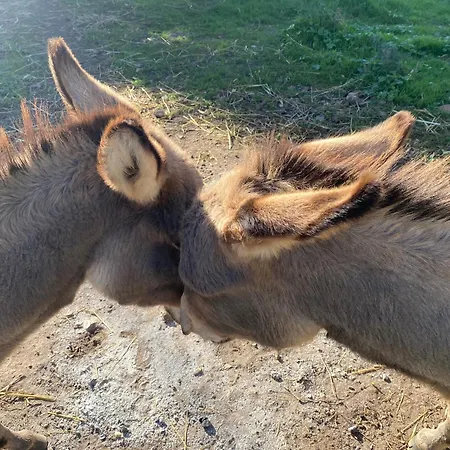 Da Giusy Bed & Breakfast