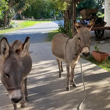 Bed & Breakfast Da Giusy *